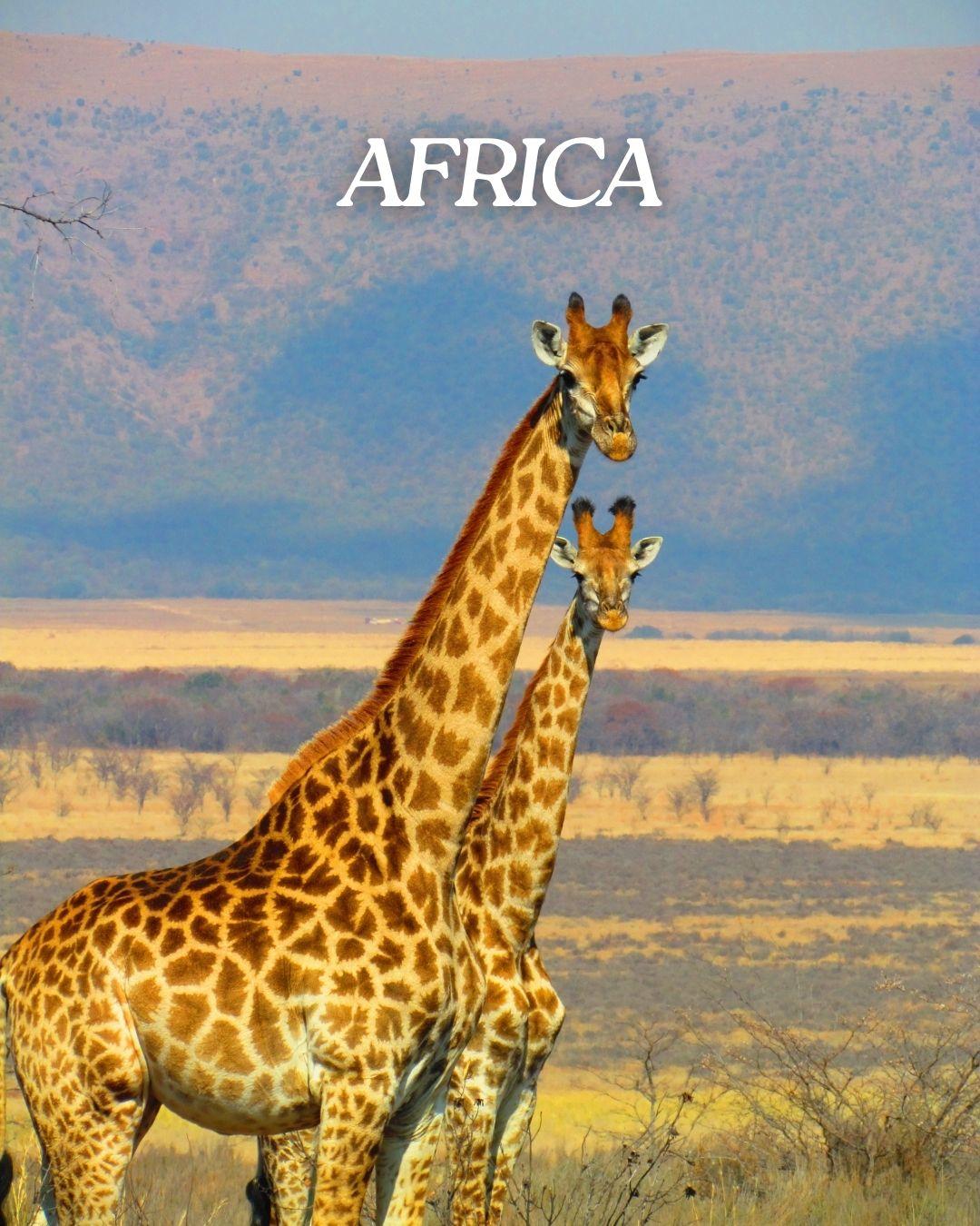 South Africa